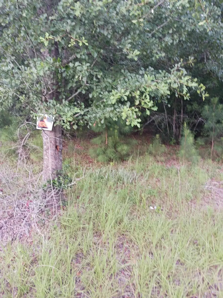 1638 Old Whitesville Road Road, Moncks Corner, SC 29461 - Image #2