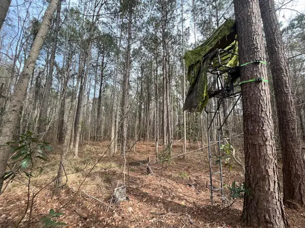 01 Bee Drive, Walterboro, SC 29488