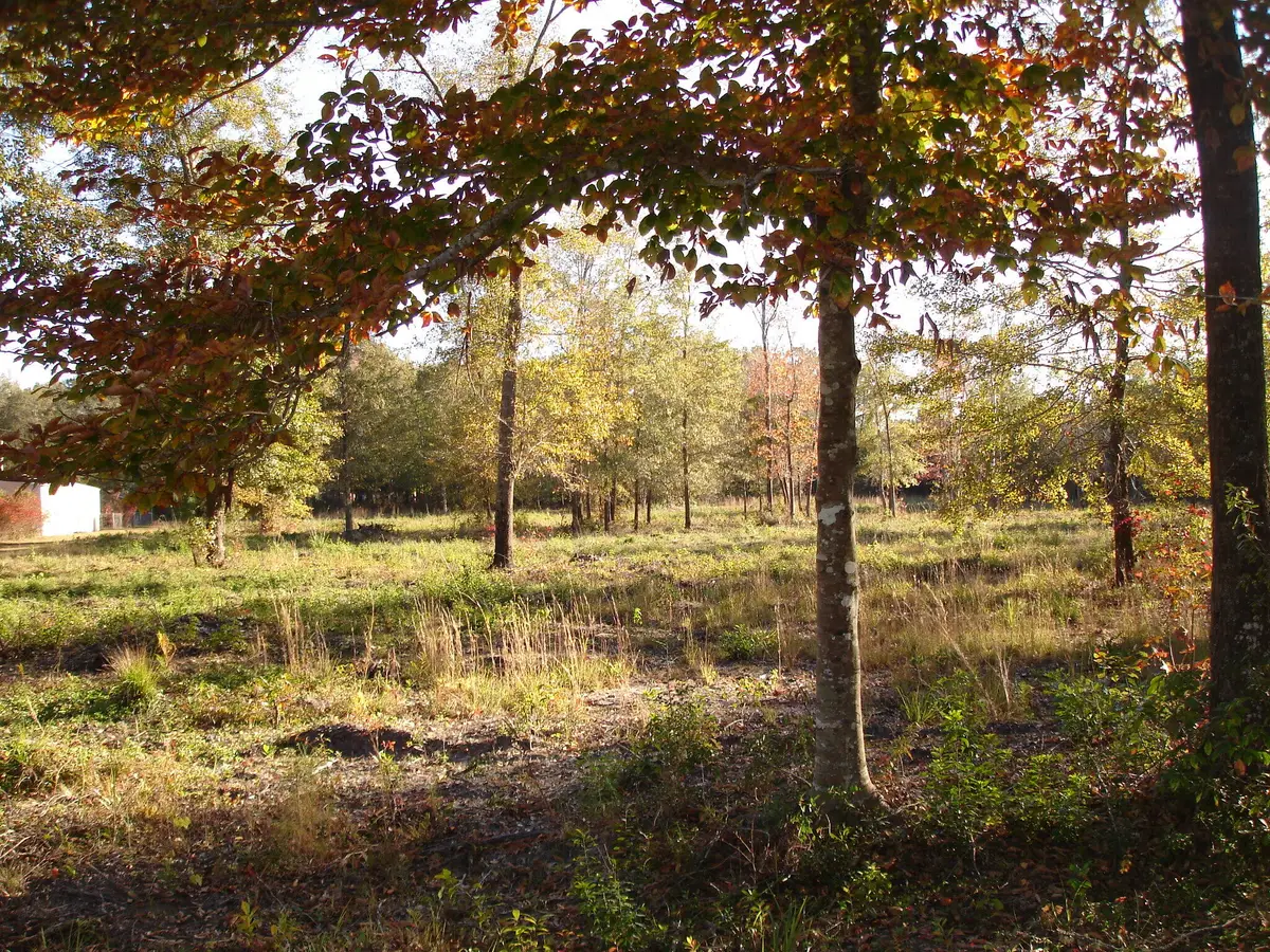 1 Old Jacksonboro Road, Ravenel, SC 29470 - #1