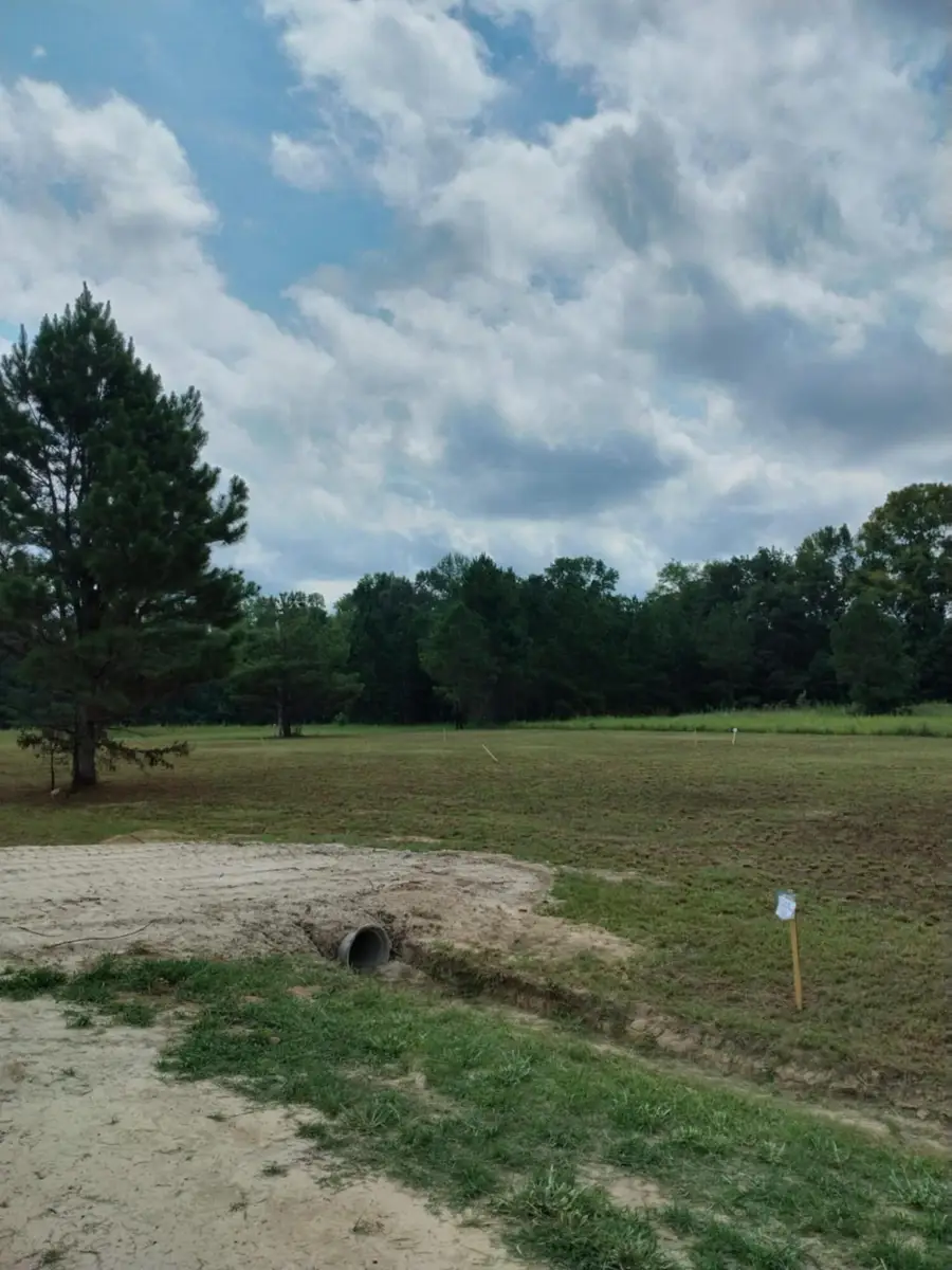 250 Dandelion Ct, Round O, SC 29474 - Image #3