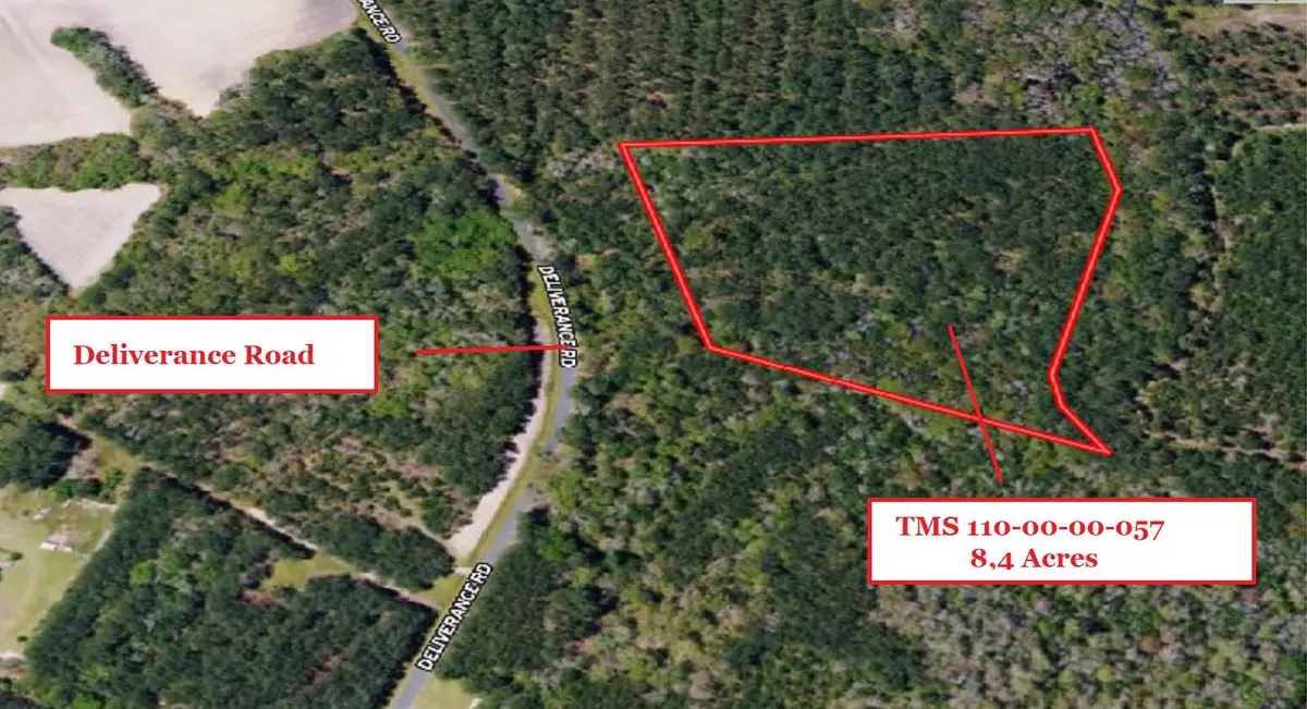 0 Deliverance Road, Ruffin, SC 29475 - #1