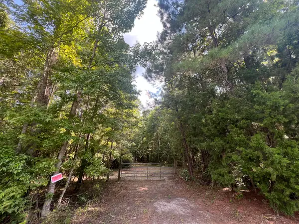 0 French Santee Road, Jamestown, SC 29453