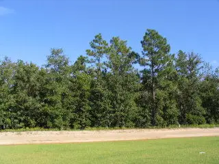 0 Shore Drive #Lot 36, Orangeburg, SC 29118