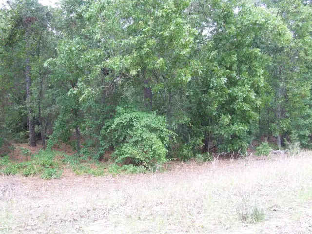 1412 Old State Road, Gaston, SC 29053 - Image #1