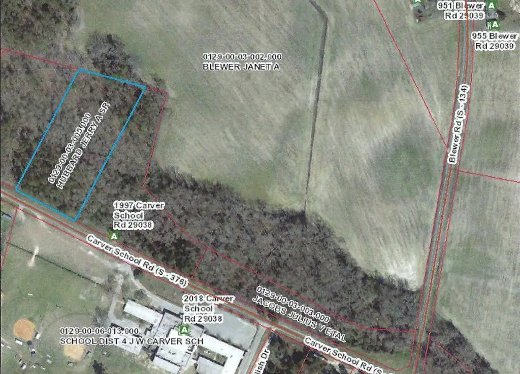 0 Carver School Road, Cope, SC 29038 - Image #1