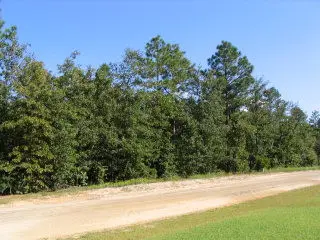 0 Shore Drive #Lot 35, Orangeburg, SC 29118 - Image #1
