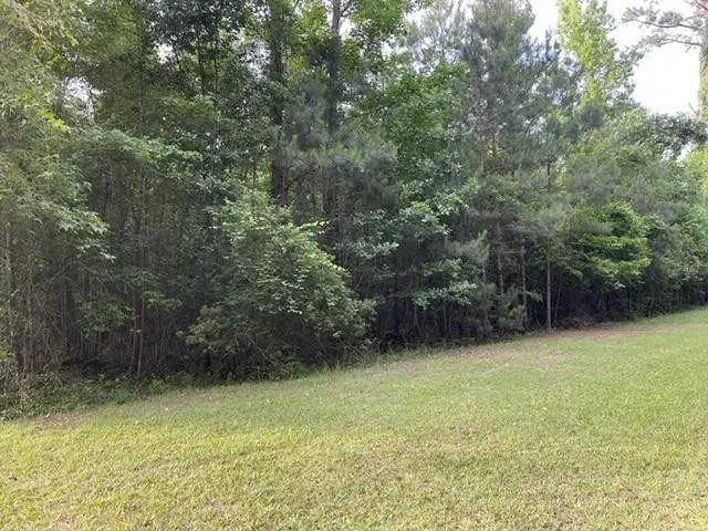 000 Belle Acres Drive, Orangeburg, SC 29118 - #1