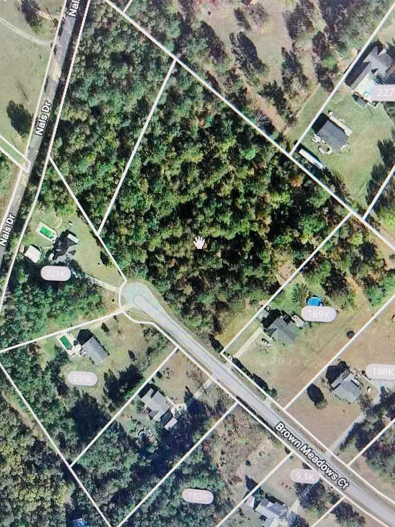 142 Brown Meadows Court, Orangeburg, SC 29115 - #3