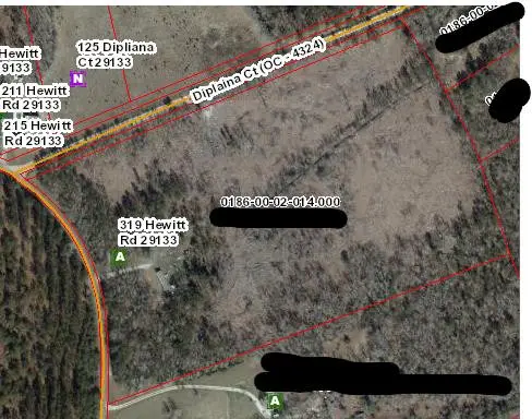 319 Hewitt Road, Rowesville, SC 29133 - Image #1