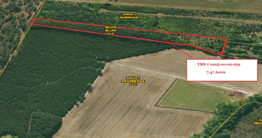 0 Eddie Lane, Orangeburg, SC 29115 - #3