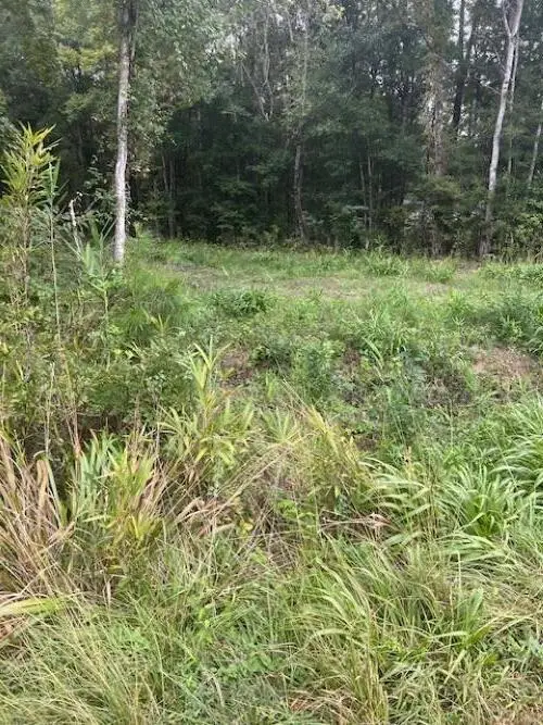 6572 N Hwy 17, Awendaw, SC 29429 - #1
