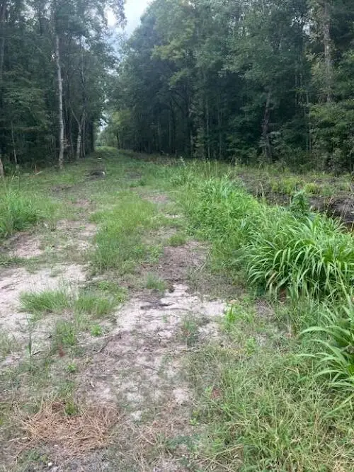 6572 N Hwy 17, Awendaw, SC 29429 - #3