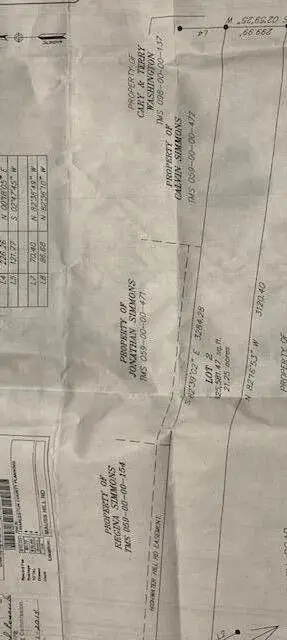 0 Mauss Hill Road, Adams Run, SC 29426 - #2