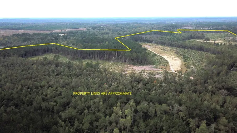 00 Fellowship Road, Williston, SC 29853 - #2