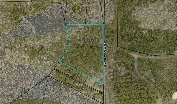 0 Pine Tree Landing Road, Andrews, SC 29510 - #1