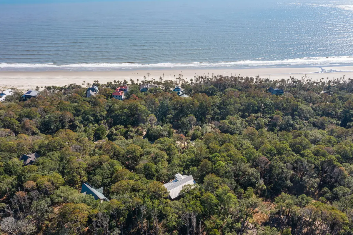 362 Pelican Flight Drive, Dewees Island, SC 29451 - #1