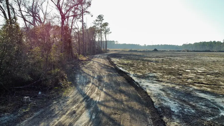 005 Old Spell Road #5, Saint George, SC 29477 - #2