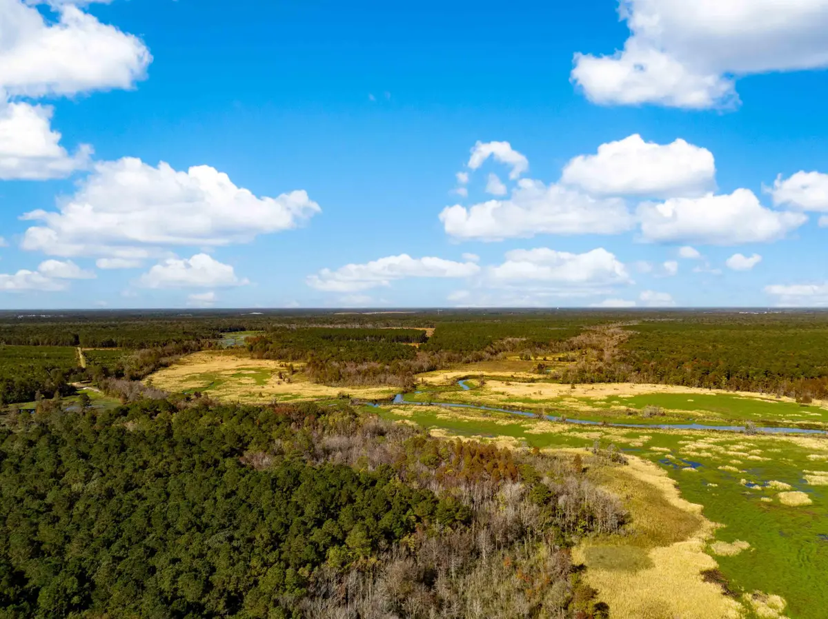 0 Point Comfort, Moncks Corner, SC 29461 - #1
