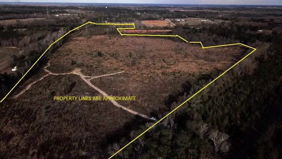 00 Hampton Avenue, Blackville, SC 29817 - Image #3