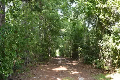 Lot A Bobbie Lane, Pineville, SC 29468 - Image #2