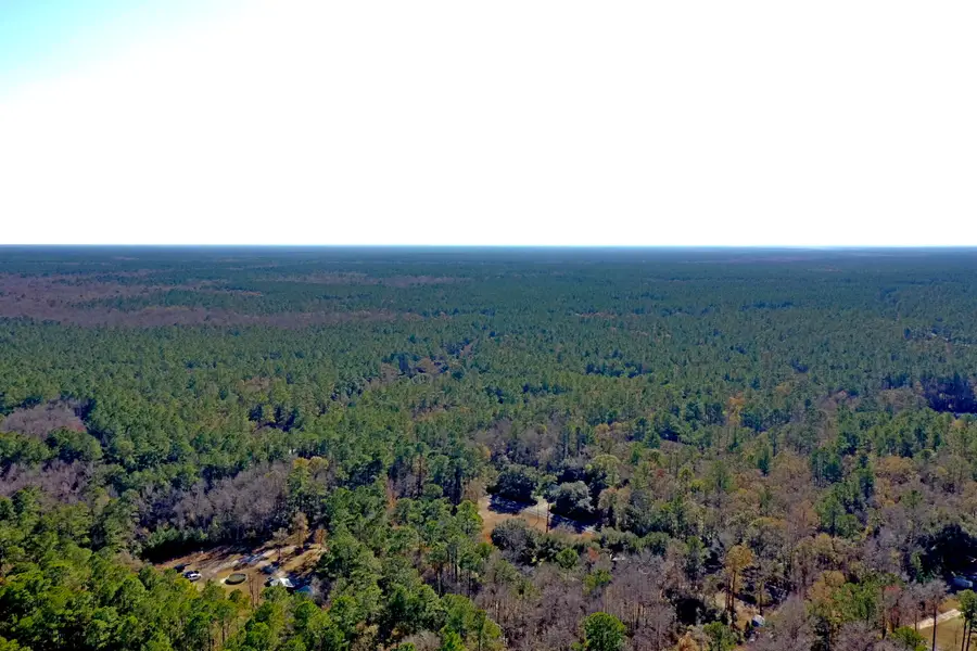 0 Pickin Parlor Lane, Cordesville, SC 29434 - Image #3