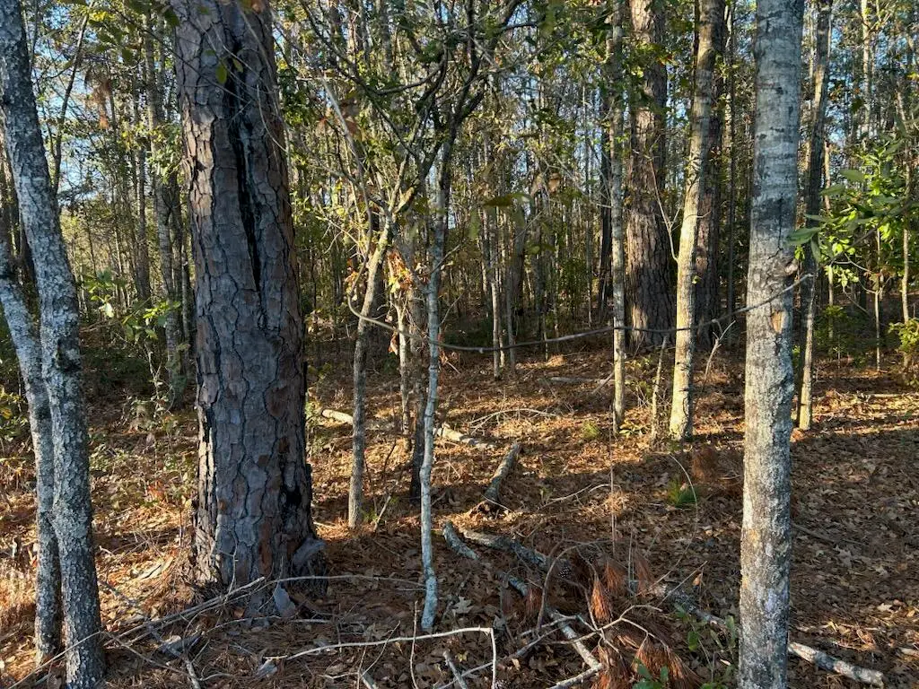 5860 Martin Street, Ravenel, SC 29470 - Image #1