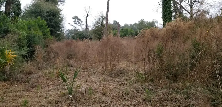 812 N Lemacks Street, Walterboro, SC 29488 - Image #2