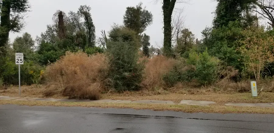 812 N Lemacks Street, Walterboro, SC 29488 - Image #3