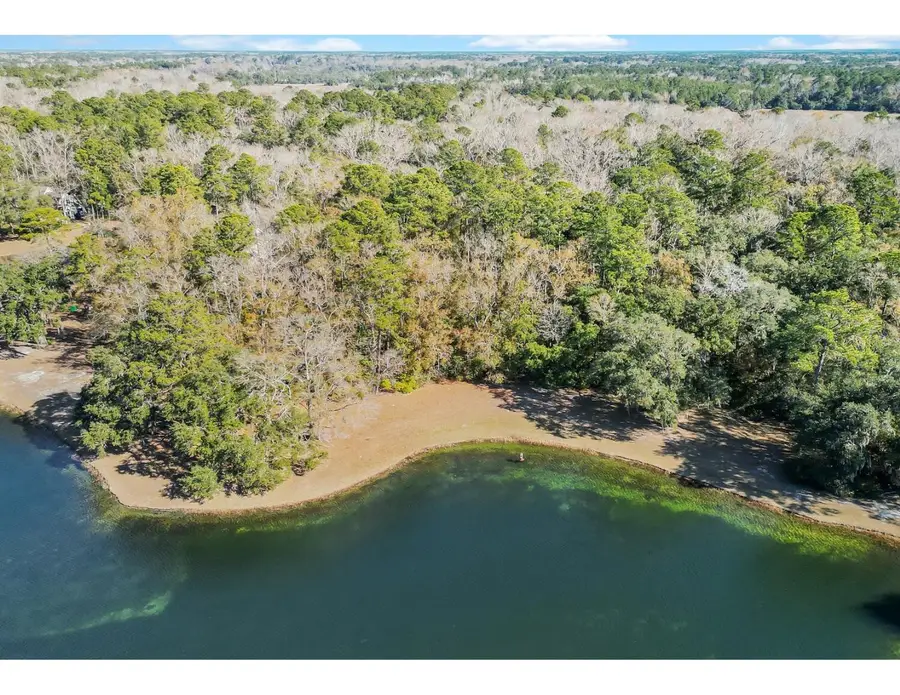 88 Tomotley Barony Drive, Seabrook, SC 29940 - Image #2