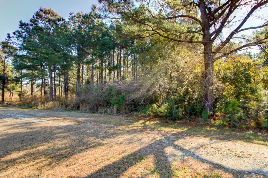 4 Morants Point Road, McClellanville, SC 29458 - #3