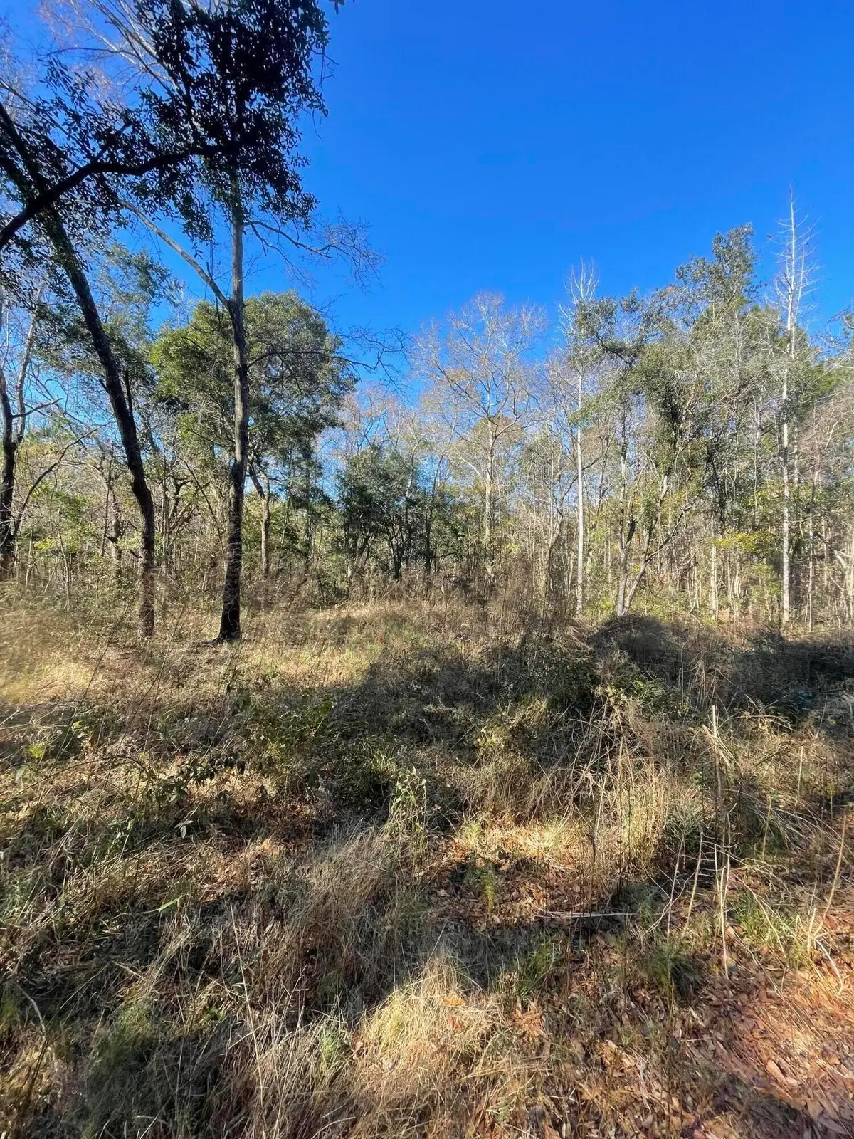 00 N Hwy 17, Awendaw, SC 29429 - Image #1