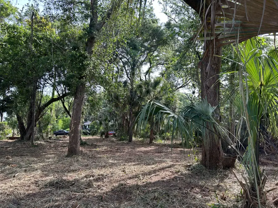 8917 Palmetto Road, Edisto Island, SC 29438 - Image #2