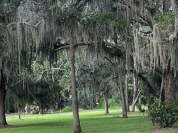 83 Cocktail Lane, Green Pond, SC 29438 - Image #2