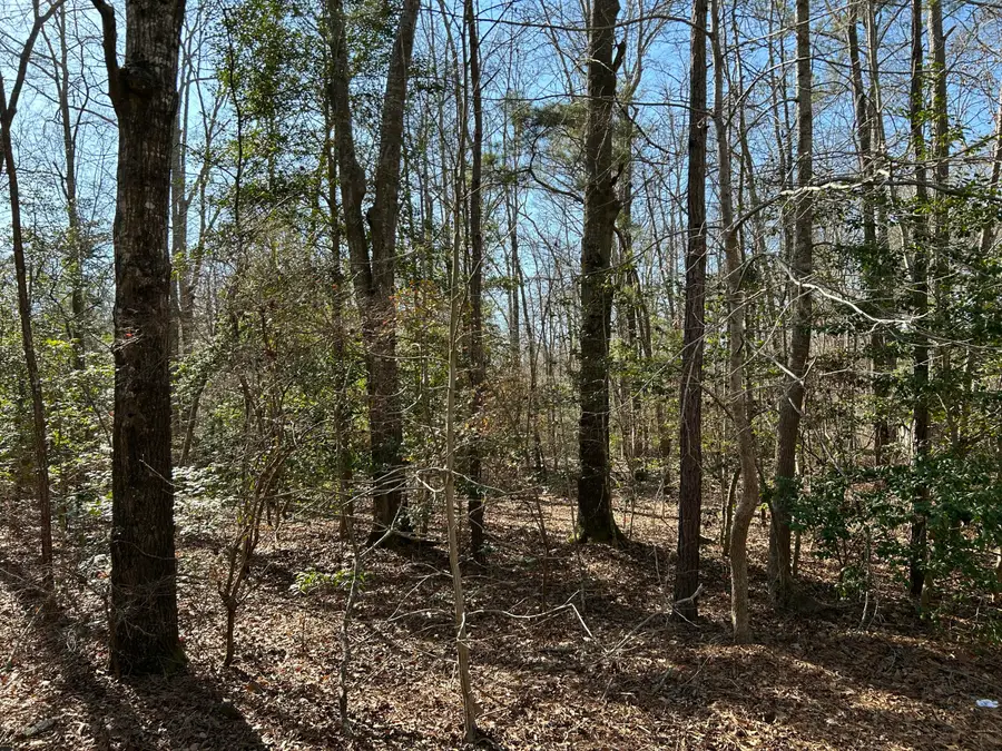 Lot 88 Coach Rd., Cheraw, SC 29520 - Image #2