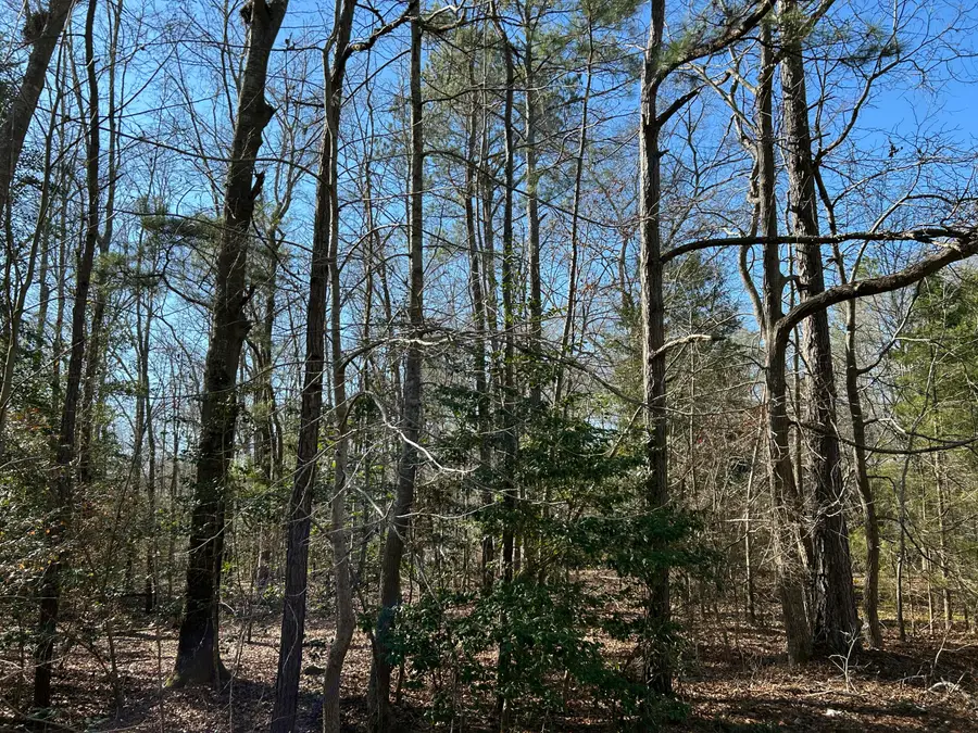 Lot 88 Coach Rd., Cheraw, SC 29520 - Image #3