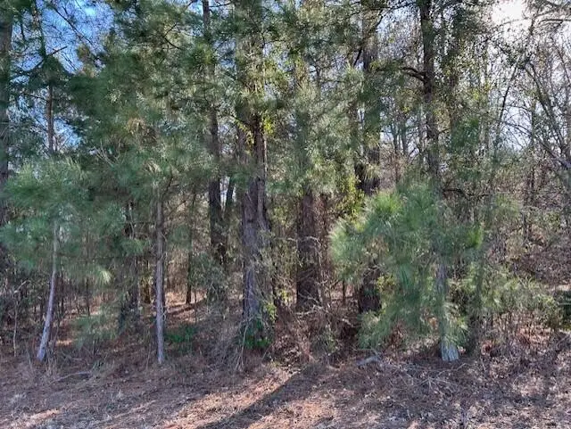 3115 Highway 9, Cheraw, SC 29520 - Image #3