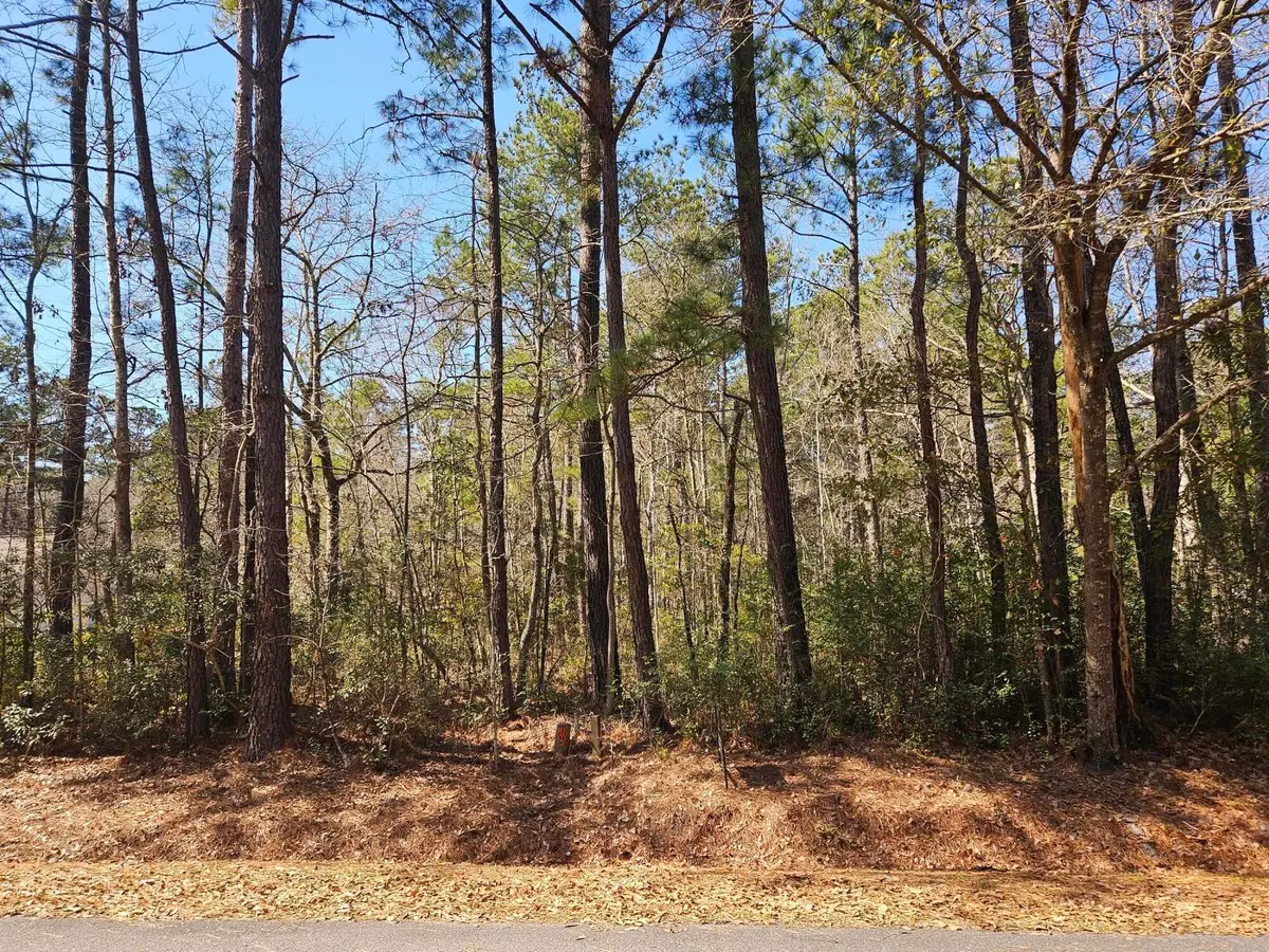 0 Brock Street, Georgetown, SC 29440 - #1