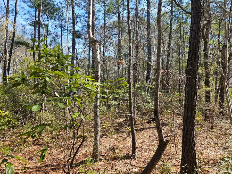 0 Brock Street, Georgetown, SC 29440 - #2