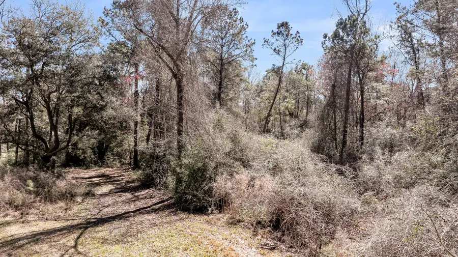 7887 Mary Seabrook Road, Edisto Island, SC 29438 - Image #3