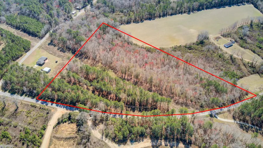 0 First Bend Road, Harleyville, SC 29448 - Image #2