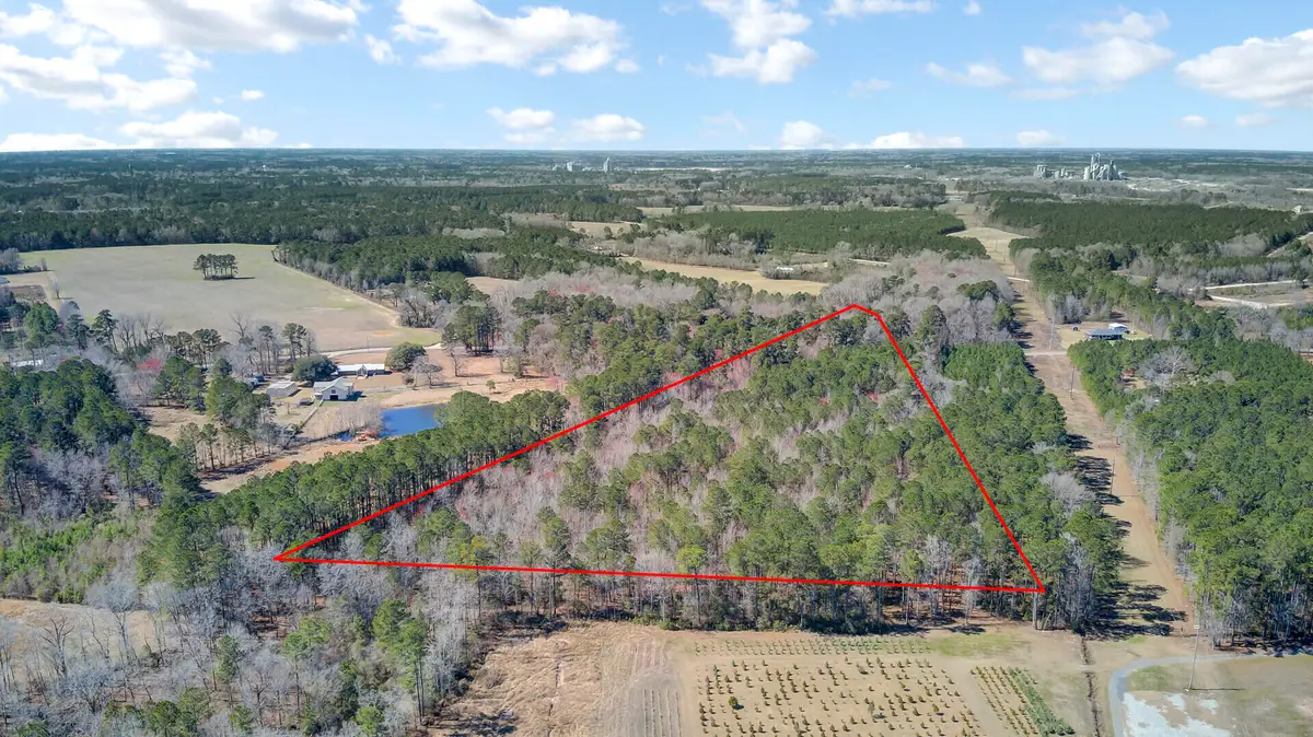 0 Hickory Nut Drive, Harleyville, SC 29448 - Image #1