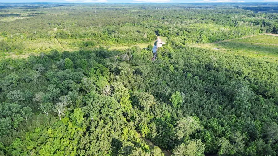 13959 Cottageville Highway, Cottageville, SC 29435 - Image #2