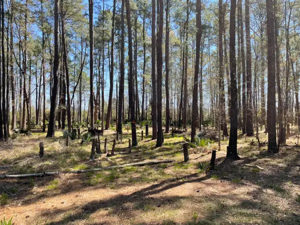 0 Backfield Road, Walterboro, SC 29488