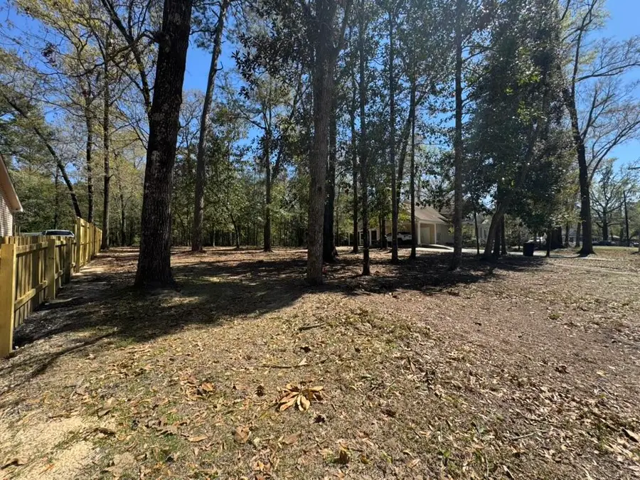 0 Dowling Avenue, Walterboro, SC 29488 - Image #3