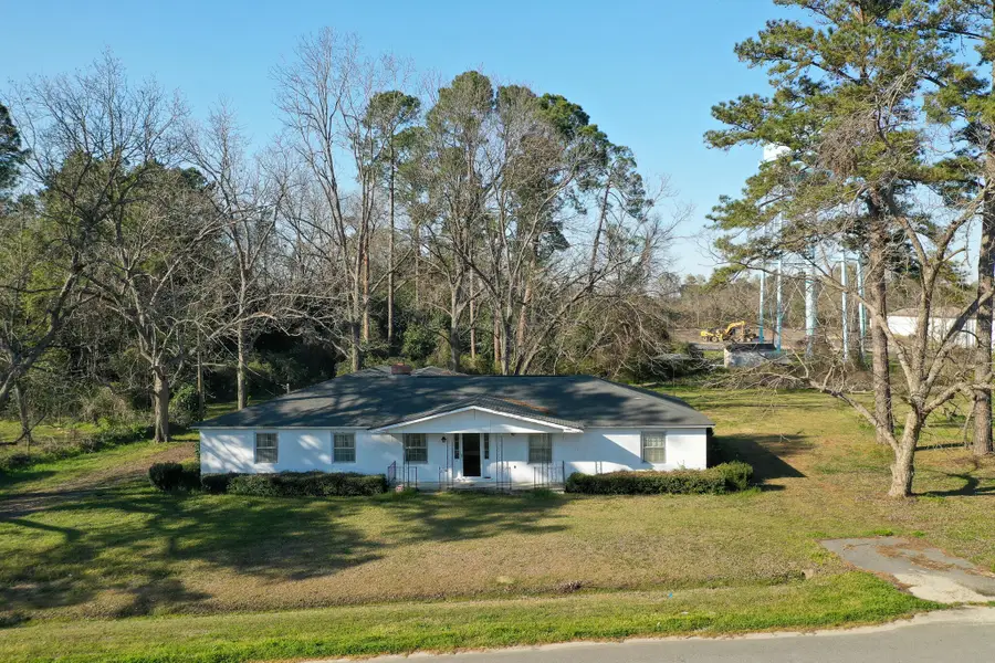 6156 Badham Drive, Reevesville, SC 29471 - #2