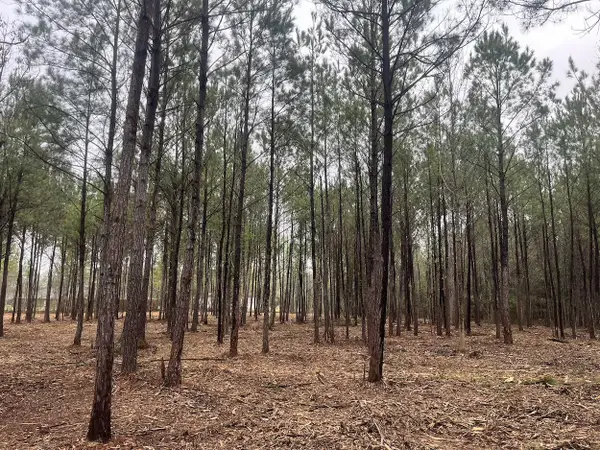 0 Praxis Court, Cottageville, SC 29435