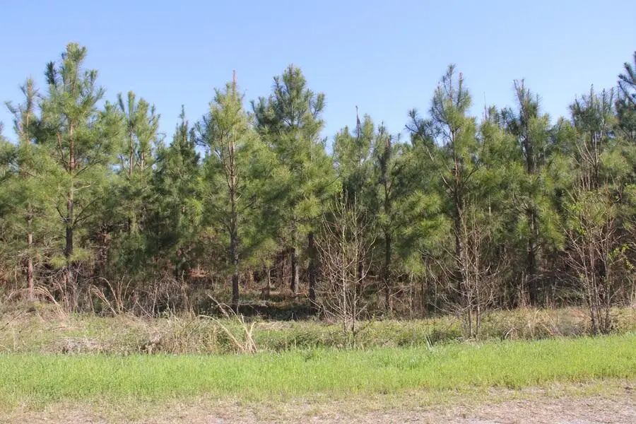 00 Fralix, Smoaks, SC 29481 - Image #3