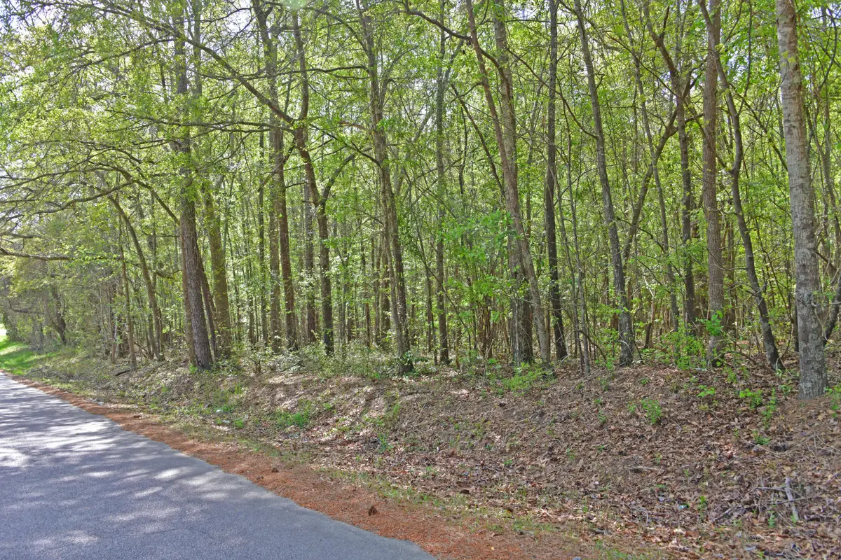 0 Ridgelake(lots 8,9,10,11) Circle, Saint Matthews, SC 29135 - #1