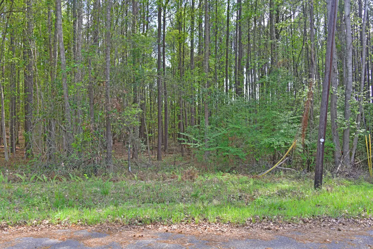 0 Ridgelake(lot 29), Saint Matthews, SC 29135 - #1