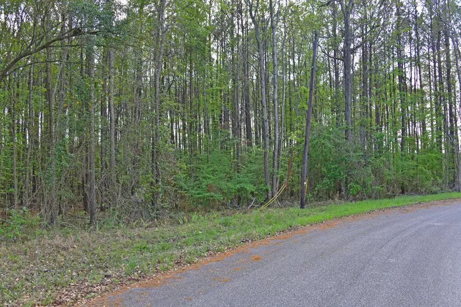 0 Ridgelake(lot 29), Saint Matthews, SC 29135 - #2
